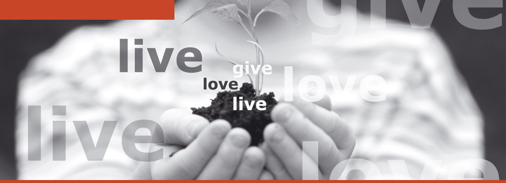 give
